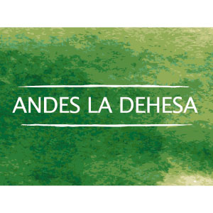 c-inmobiliaria-work-plaza-la-dehesa